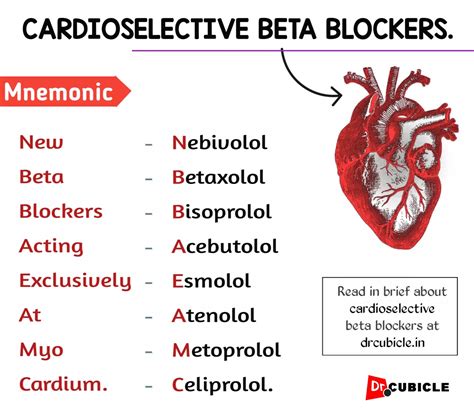 cardioselective beta blockers|Beta Blockers .